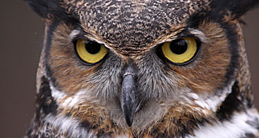 Professional Photography Michigan